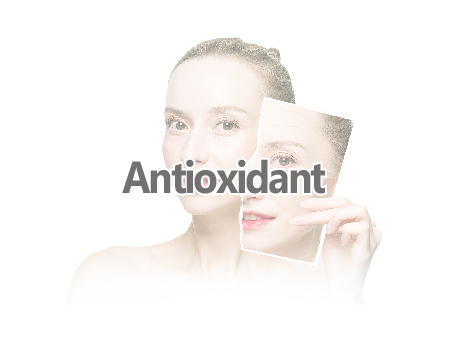 Antioxidant