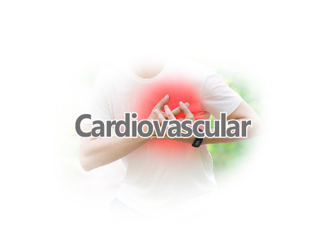 Cardiovascular