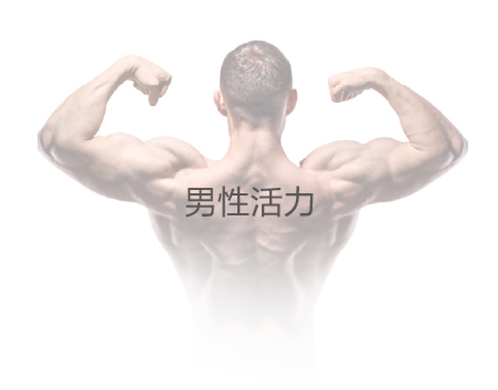 男性活力