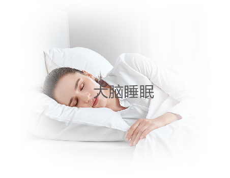 大脑睡眠